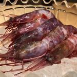 鮓職人 秦野よしき - ブドウエビ