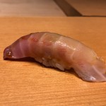 鮓職人 秦野よしき - イサキ