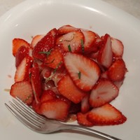 ダルマット 六本木ヒルズ店 - 