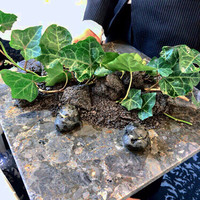 クイントカント - 