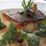 emuN - 産地直送　天然鮮魚のお料理