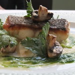 emuN - 産地直送　天然鮮魚のお料理