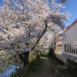 食堂兼居酒屋 コッテロ - 