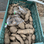 ショクヤボ農園 - 