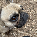 ショクヤボ農園 - 