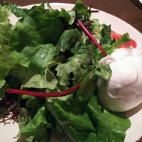 オービカ モッツァレラバー 梅田店 - 