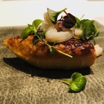 カンテサンス - 