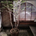 パスタコレクションハウス 道月 - 個室から眺める中庭