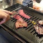 ハモ肉 - 