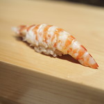 鮨 尚充 - 車海老