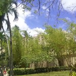 the lounge - エントランスも緑がいっぱい