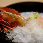 緒方 - 牡丹海老