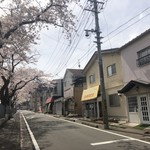 ニハチ喫茶 - 店の前が桜並木です。