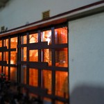 ロジウラサカバ アオコーナー - 