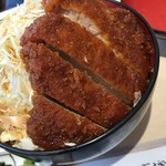 明治亭 - ヒレ肉のミニカツ丼