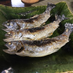 かたつむり - あまご塩焼き 交雑種