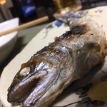 かたつむり - あまご塩焼き 交雑種