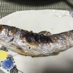 かたつむり - あまご塩焼き 交雑種