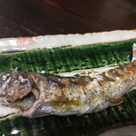かたつむり - あまご塩焼き 純粋種