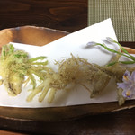 かたつむり - 天ぷら わかさぎ、のびる、たんぽぽ