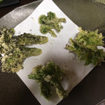 かたつむり - 天ぷら たらの芽、こしあぶら、ふきのとう、こごみ