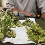 かたつむり - 天ぷら たらの芽、こしあぶら、ふきのとう、こごみ