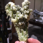 かたつむり - 天ぷら こしあぶら