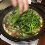 かたつむり - ヤマドリダケと天然キノコの鍋に天然クレソンとセリを投入！！