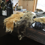 かたつむり - 店内風景　毛皮とか熊の手