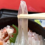 あずまし亭 - いか、透き通ってる〜