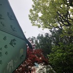 フランクリン・アベニュー - 外は残念ながら曇り空