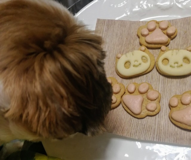 菓子工房 風薫 - 新田（パン）の写真