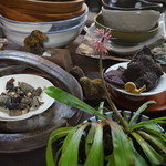 かたつむり - よく分からんものが色々(^_^;)