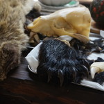 かたつむり - 熊の手とか(^_^;)