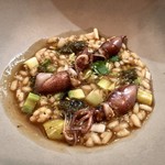 セルサルサーレ - ホタルイカとウルイのリゾット ホタルイカの肝と蕗の薹のペースト ネパールの粒胡椒