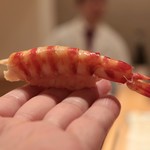 鮨 よし田 - 車海老