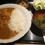 koshitsuizakayatorijuubee - 鶏屋の煮込みチキンカレー　800円