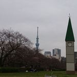 手打ち蕎麦 銀杏 - 猿江恩賜公園　2019.3