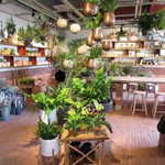 SOLA CAFE - お店があるGREEN'S FARMS内の植物