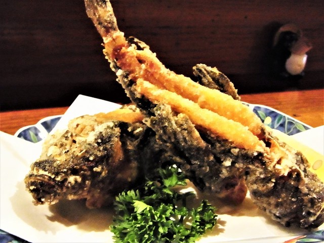 Izakaya Matsu photo 5