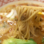 自家製麺 魚担々麺・陳麻婆豆腐　"dan dan noodles" - 白胡麻担々麺