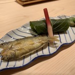 新ばし 星野 - 稚鮎　鯛桜寿司　そら豆