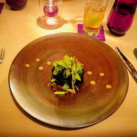 スミレオオサカ - 