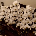 PEKEMARU - 【2019.4.18(木)】開店祝いの花