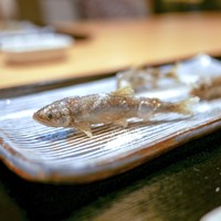 おたぎ - ☆琵琶湖の小鮎