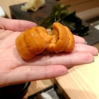 五反田鮨 SUSHI TOKYO 81 - ムラサキウニ