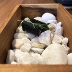 ル スプートニク - 