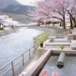 Tachibanaya - 旅館前の川沿いにある足湯はイイネ！