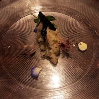 オステリア・オリエーラ - アオリイカのタルタル。