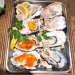 メリケンサカナ 栄店 - 